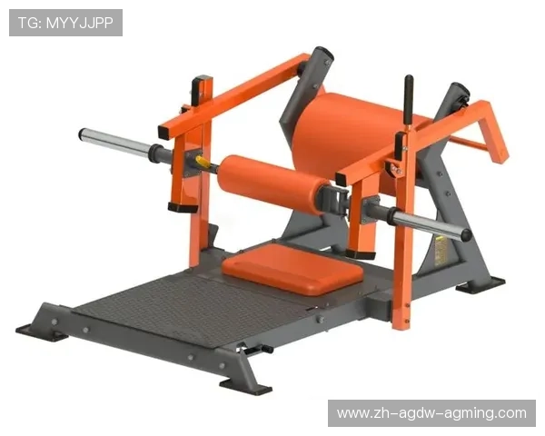 臀部锻炼健身器材推荐与使用技巧