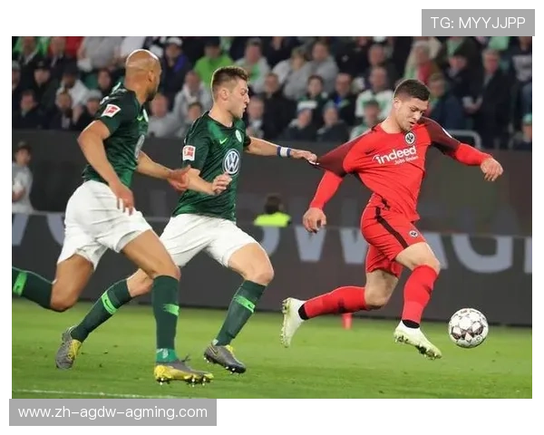 那些来自德国小镇的德甲球队故事