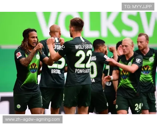 足球队德甲图片集锦及球队视觉形象展示